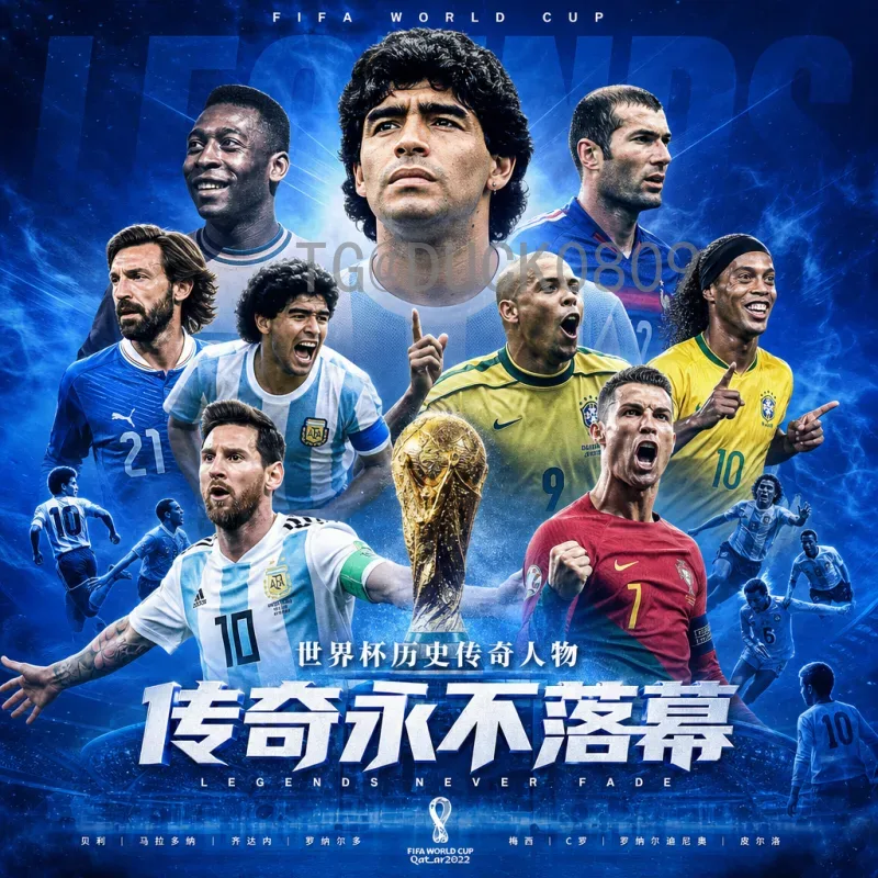 完整2026年国际足联世界杯举办城市一览：美加墨三国共筑足球盛宴